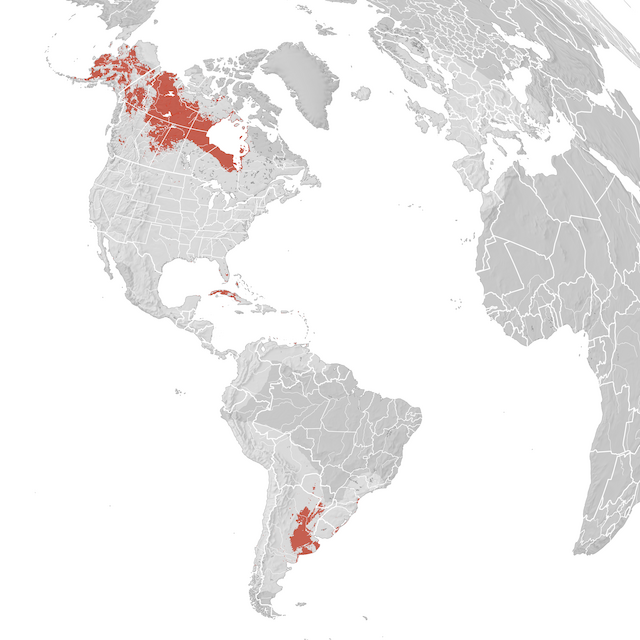 Banaketa-mapa