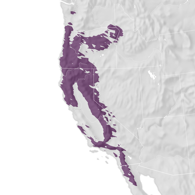 Mapa de rango