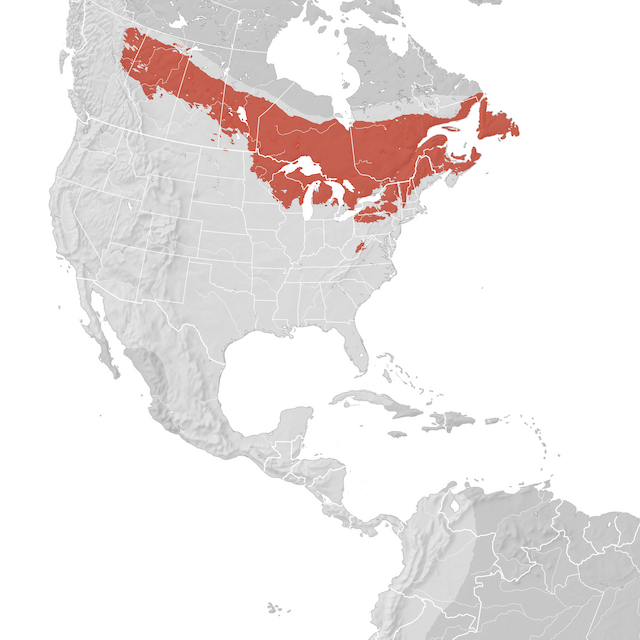 Mappa di distribuzione