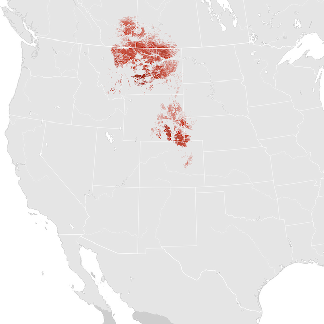 Mapa abundance