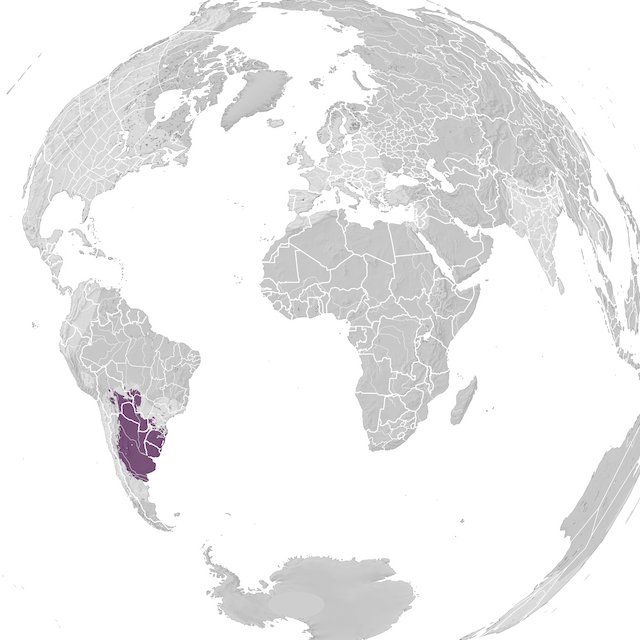 Mapa de Distribuição