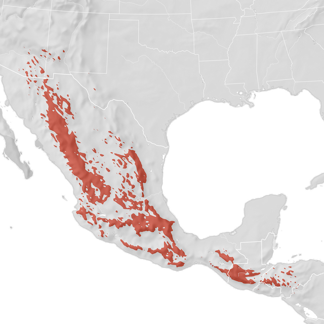 Range Map