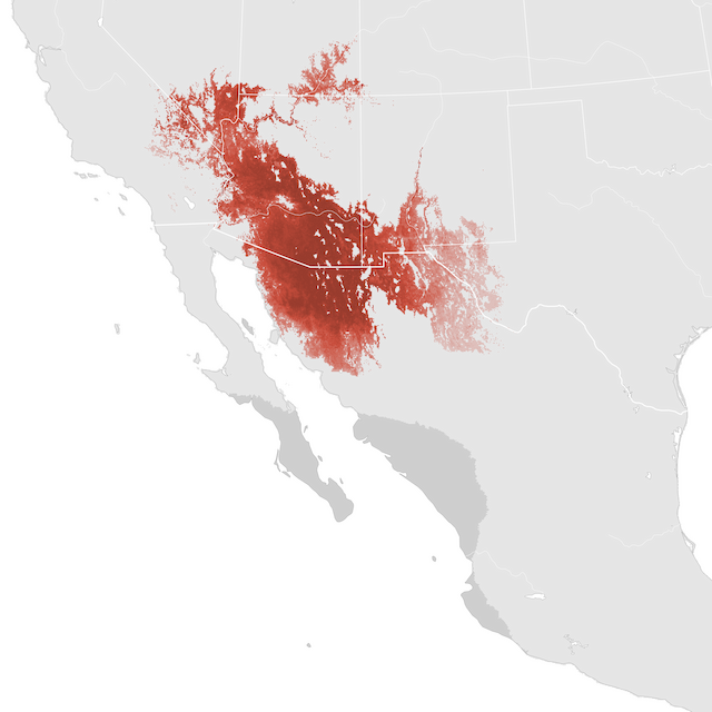 Mapa de abundancia