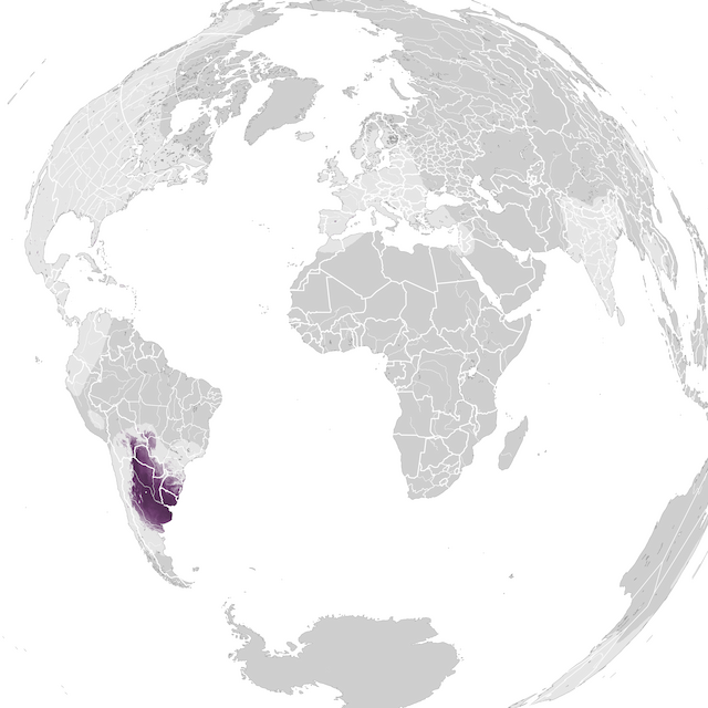 Mappa numerosità