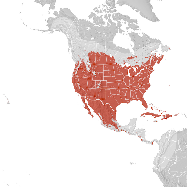 Mappa di distribuzione