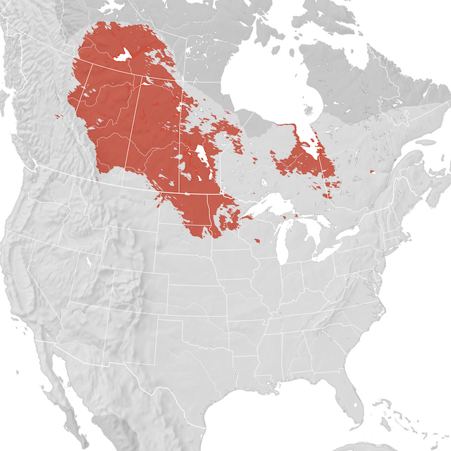 Range Map