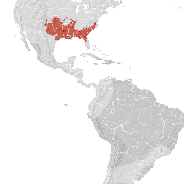 Mapa de Distribuição