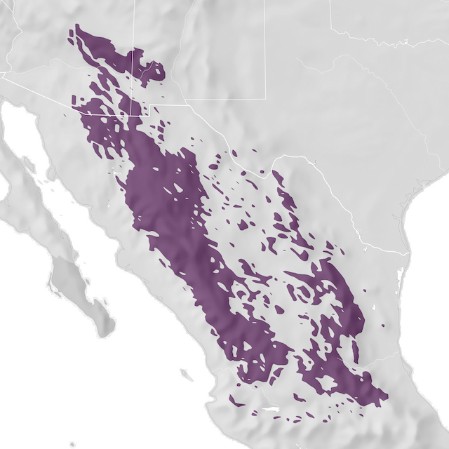 Mapa de Distribuição