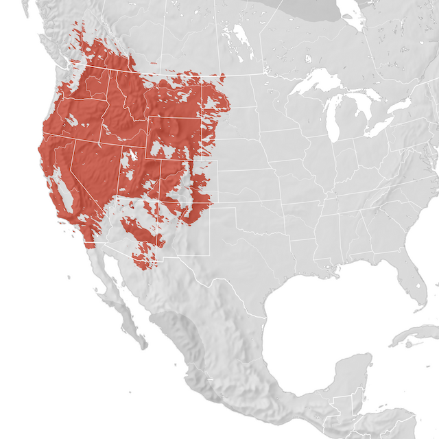 Range Map