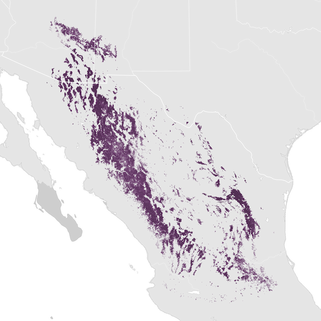 Mapa de abundancia