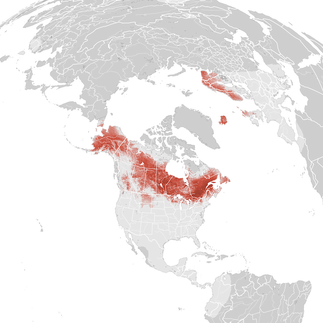 Mapa de abundancia