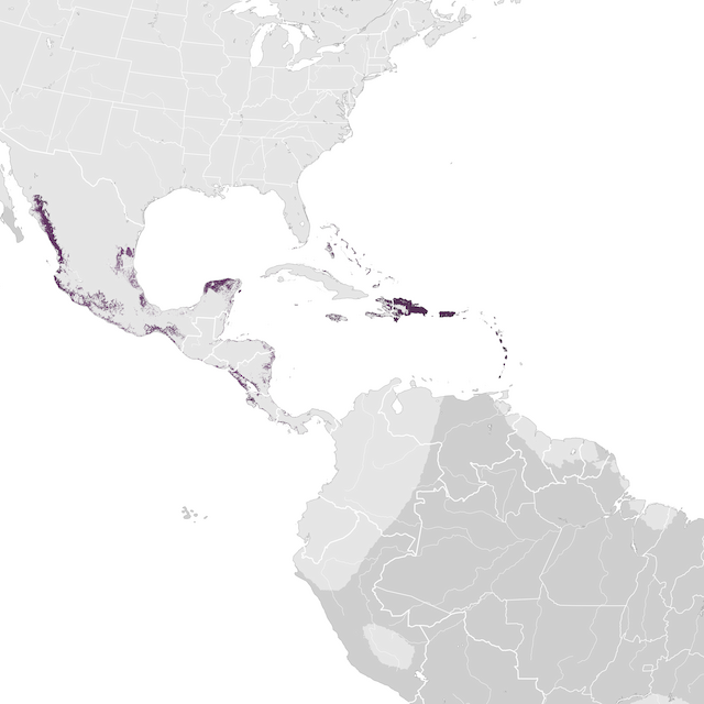 Mapa de abundâcia