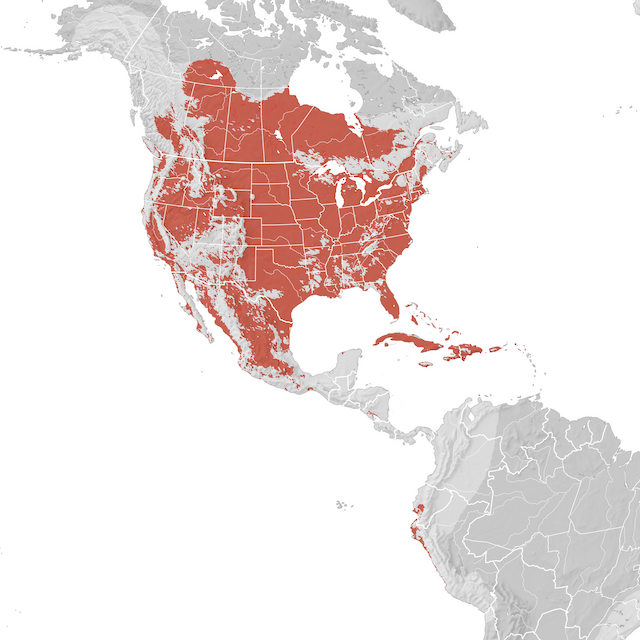 Mapa de distribuição