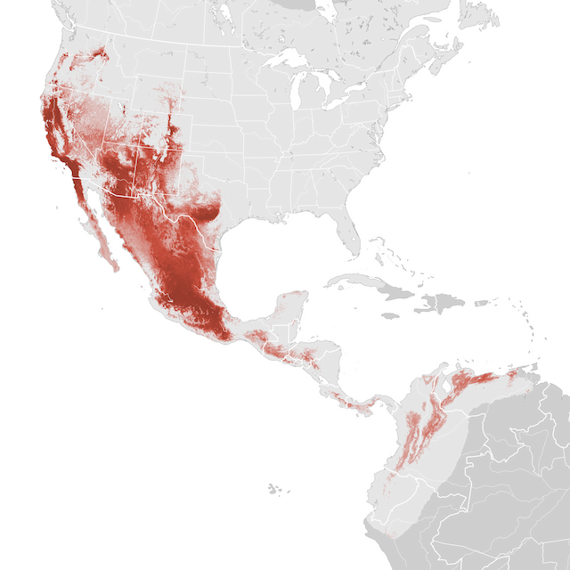 Abundance Map