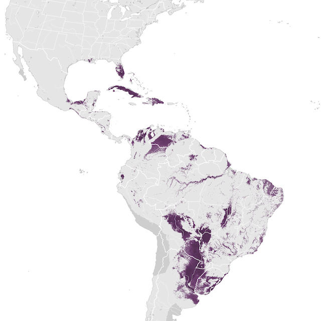 Abundance Map