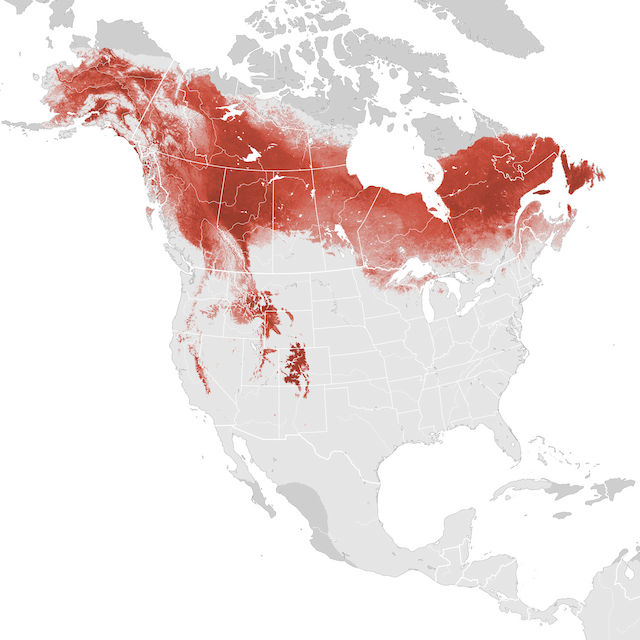 Mapa de Abundância