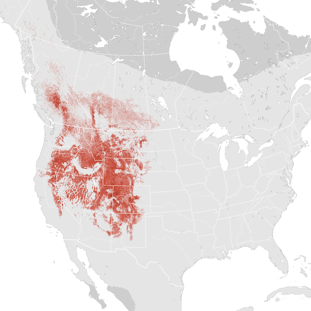 Abundance Map