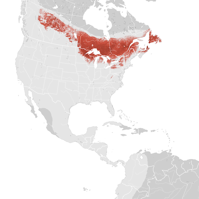 Mapa de abundâcia