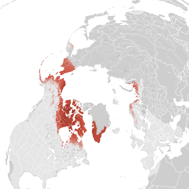 Mapa de abundancia