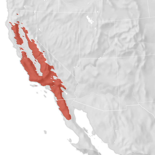 Range Map