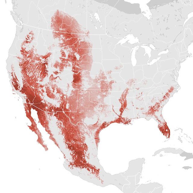 Abundance Map