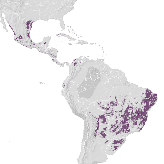 Mappa di distribuzione