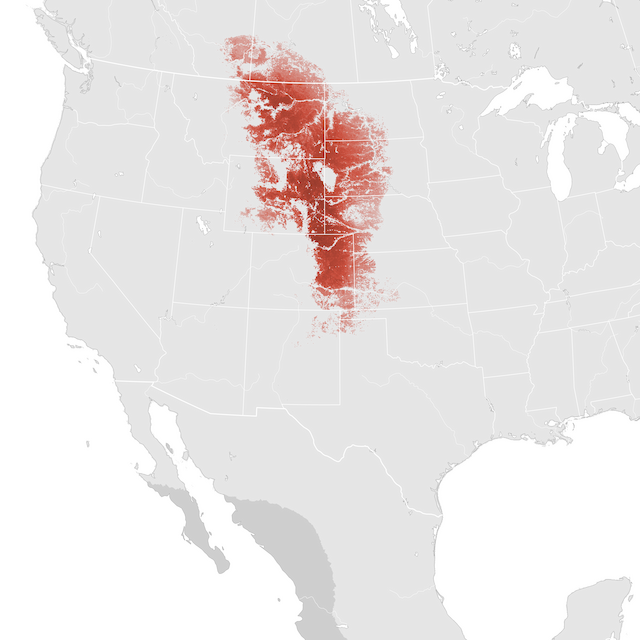 Abundance Map