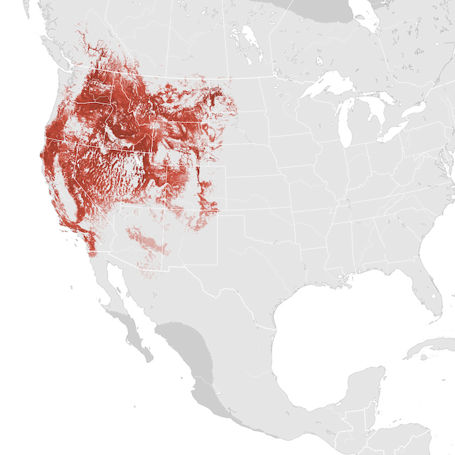 Abundance Map