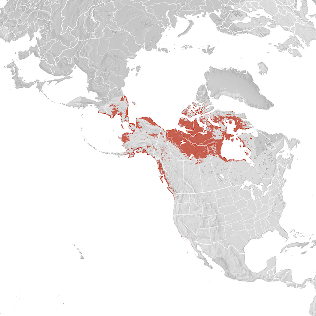 Range Map