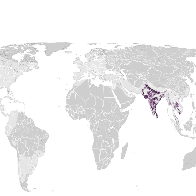 Mapa de abundancia