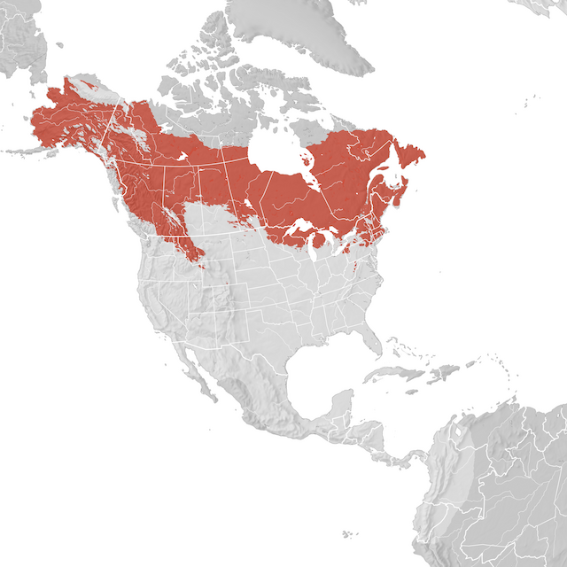 Mapa de Distribuição