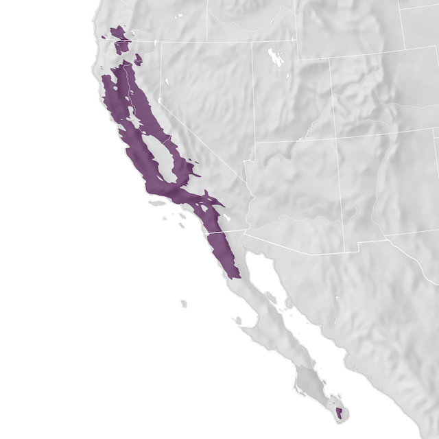 Range Map