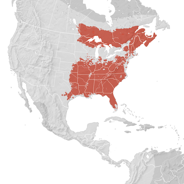 Mapa de distribuição