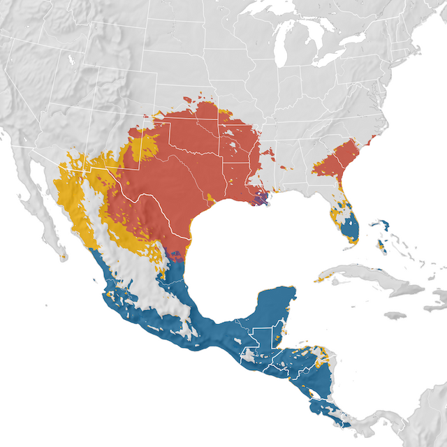 Mapa de Distribuição