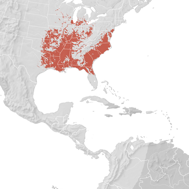 Mapa de Distribuição