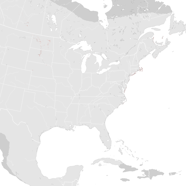 Abundance Map