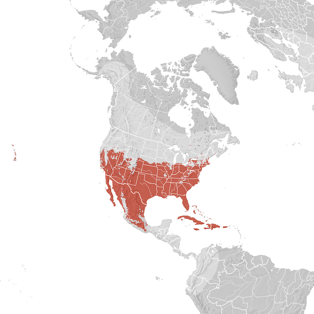 Mapa de distribuição