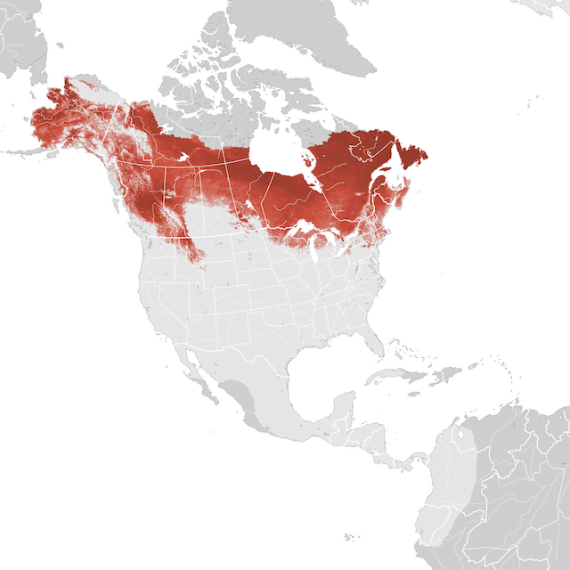 Abundance Map