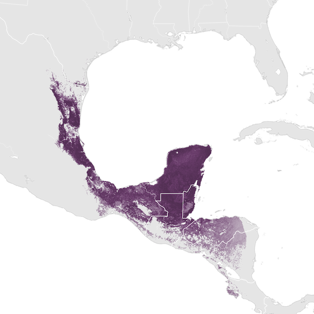 Mapa abundance