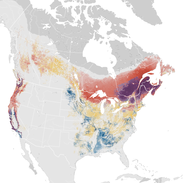 Mapa abundance