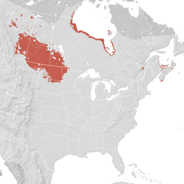 Carte de distribution