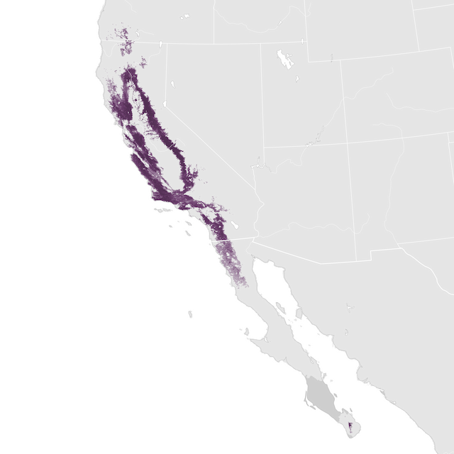 Mapa de Abundância