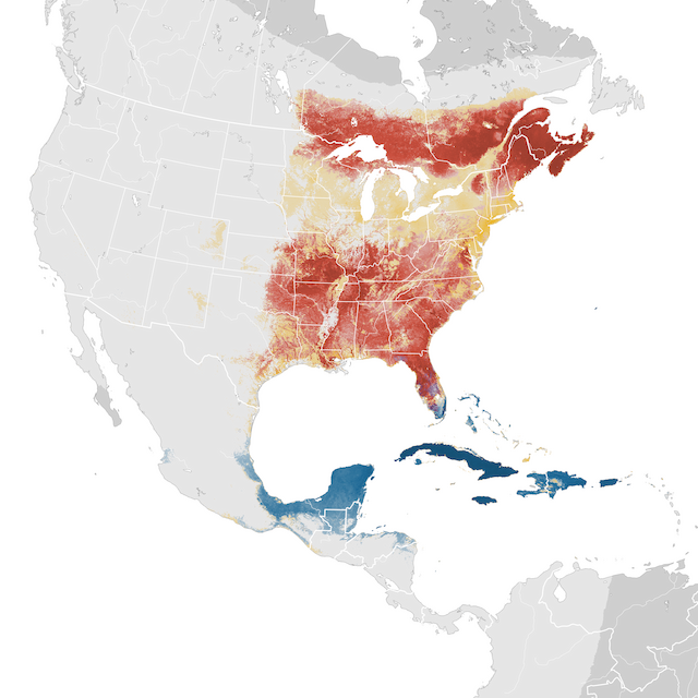 Abundance Map