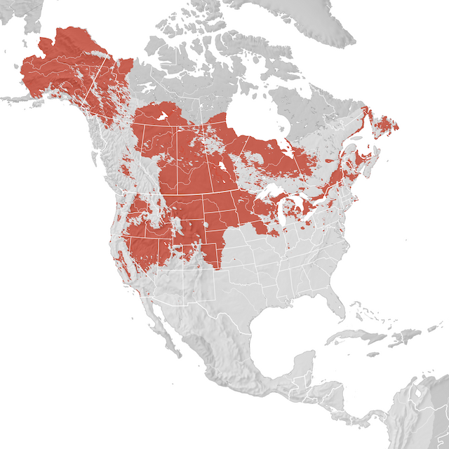 Range Map