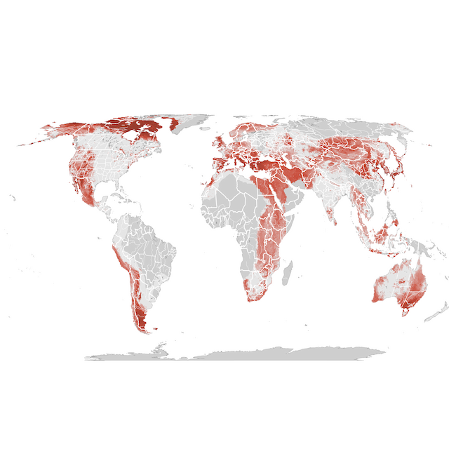 Abundance Map