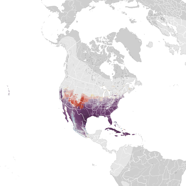 Mapa abundance