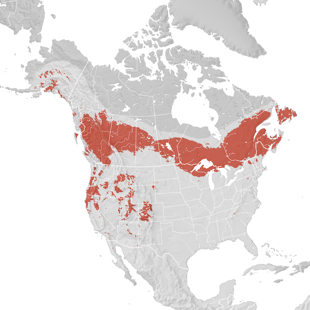 Mappa di distribuzione