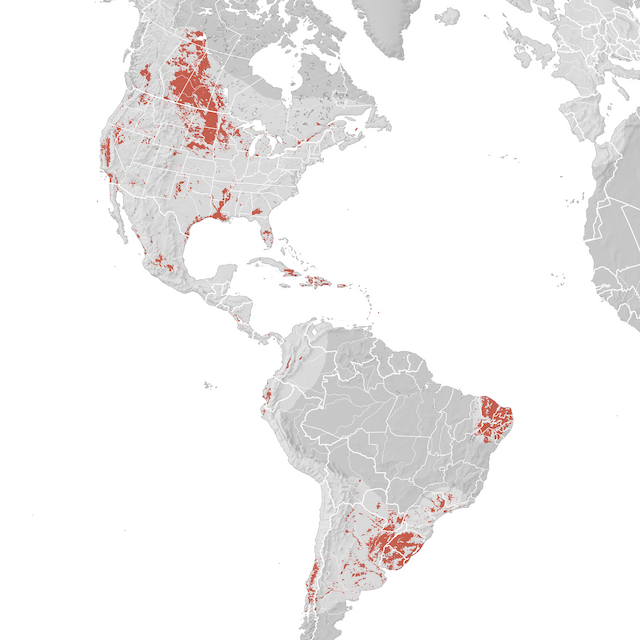 Mapa de Distribuição