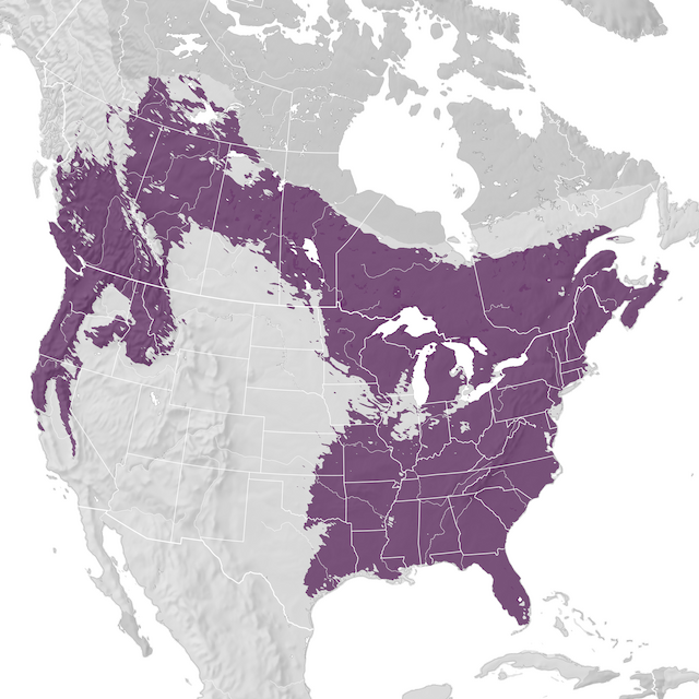 Mappa di distribuzione