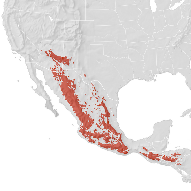 Range Map